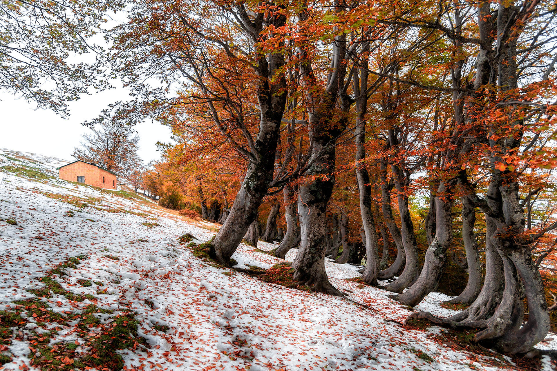 Sentieri tra natura e tradizione