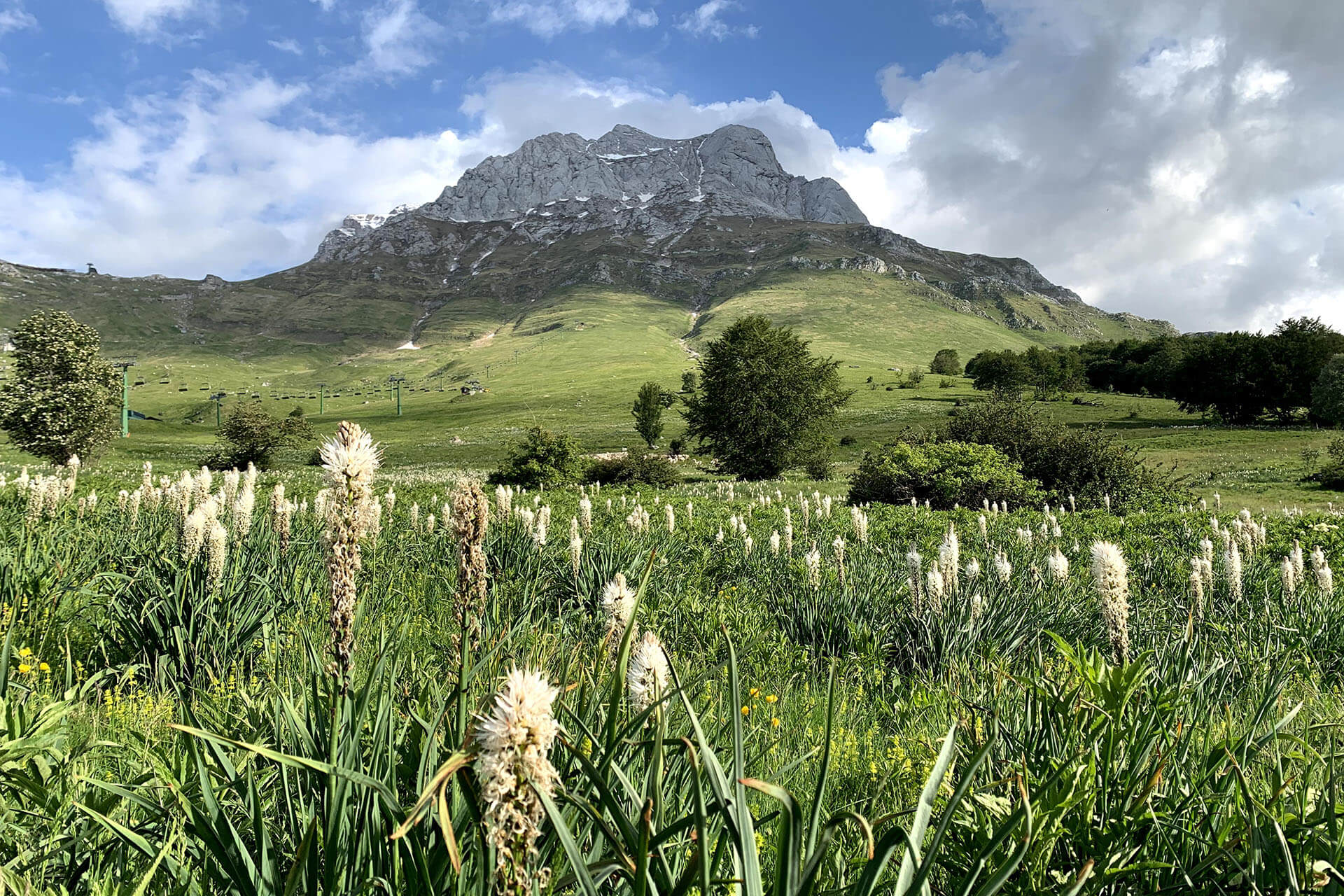 Tradizione, gastronomia e accoglienza