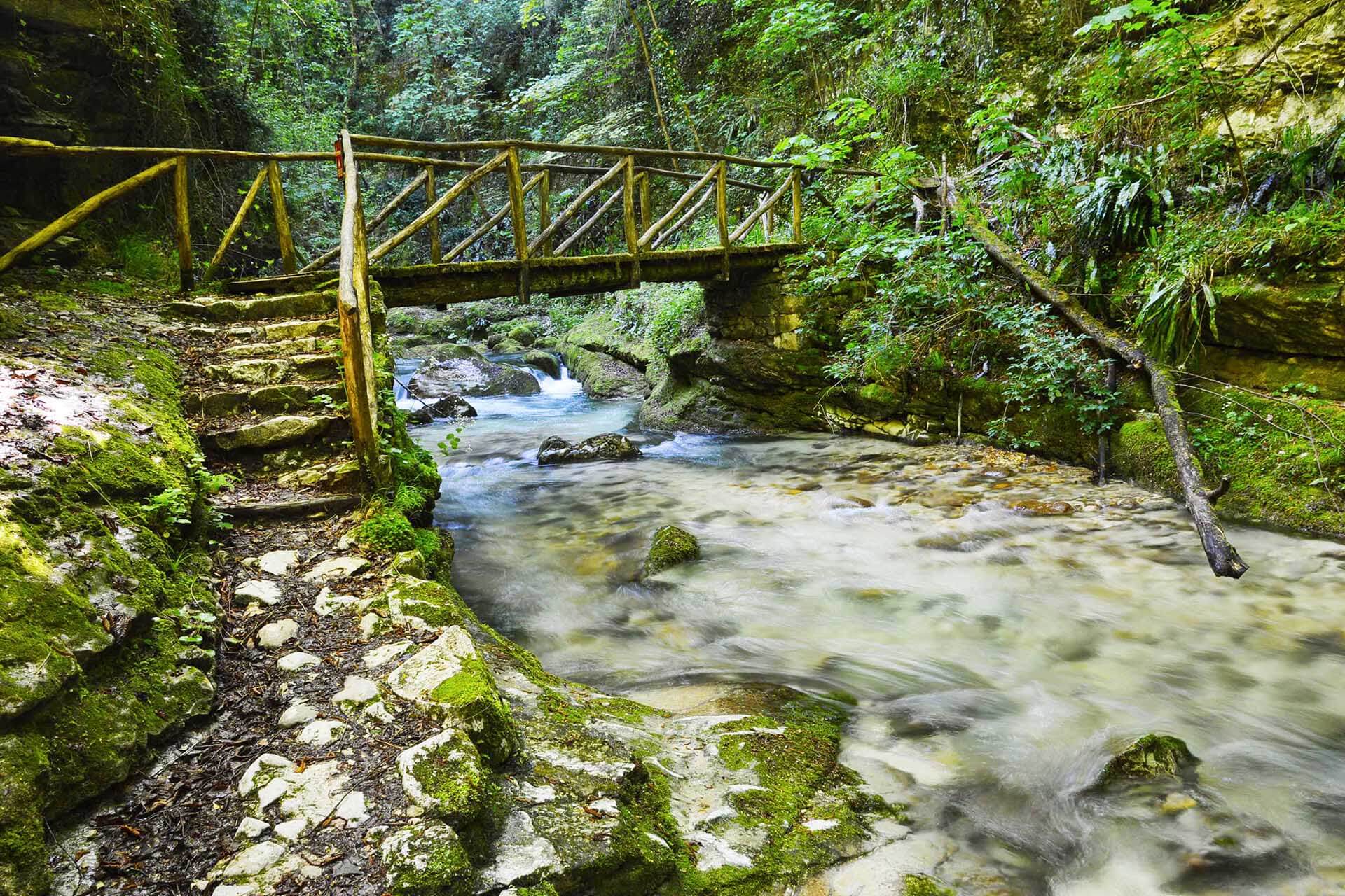 Sentieri tra boschi e silenzi