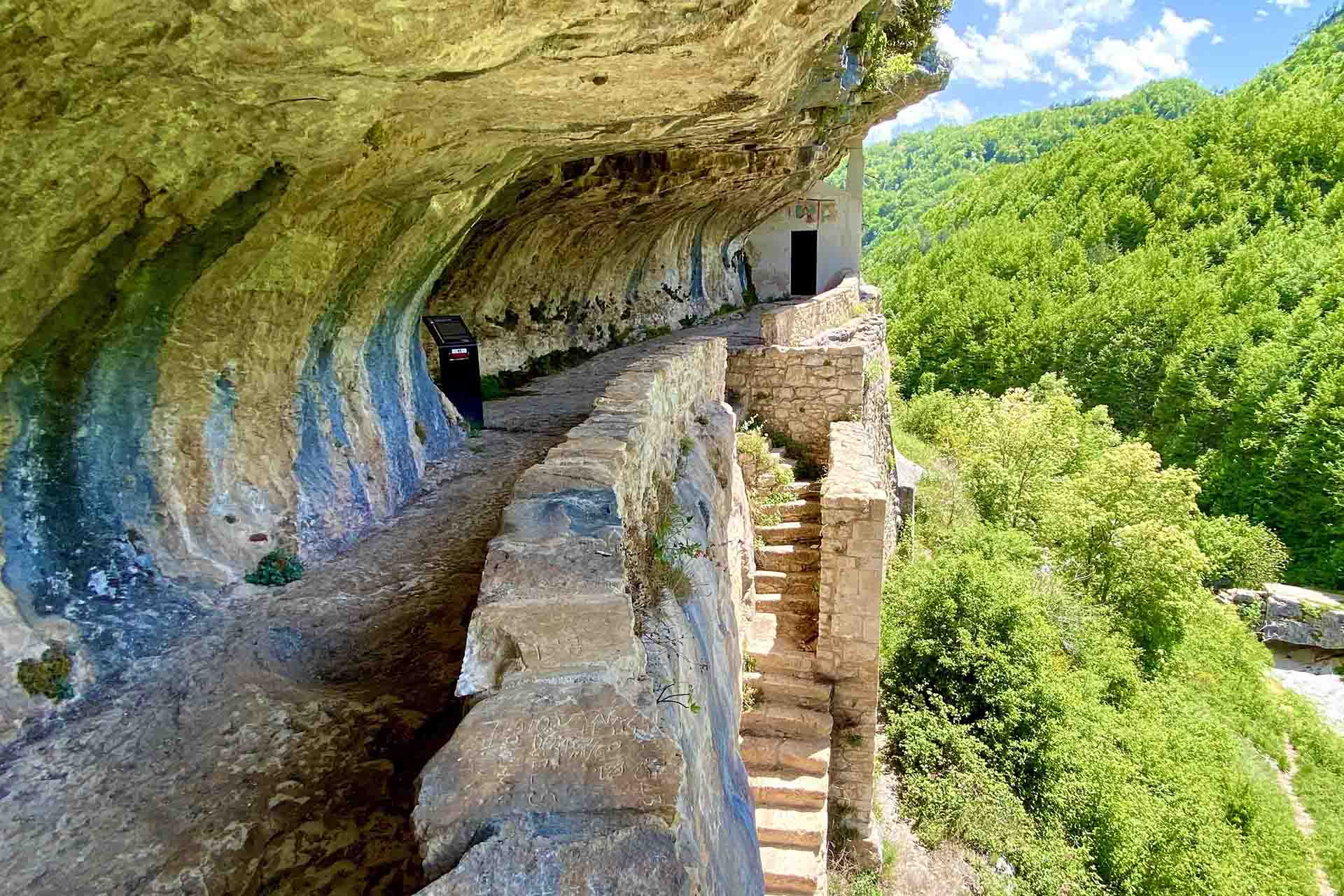 Un ambiente ricco di vita